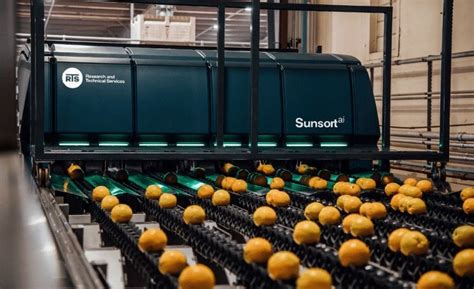 fruit sorting machines.